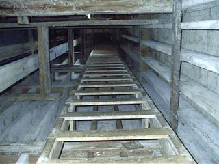 Ladder